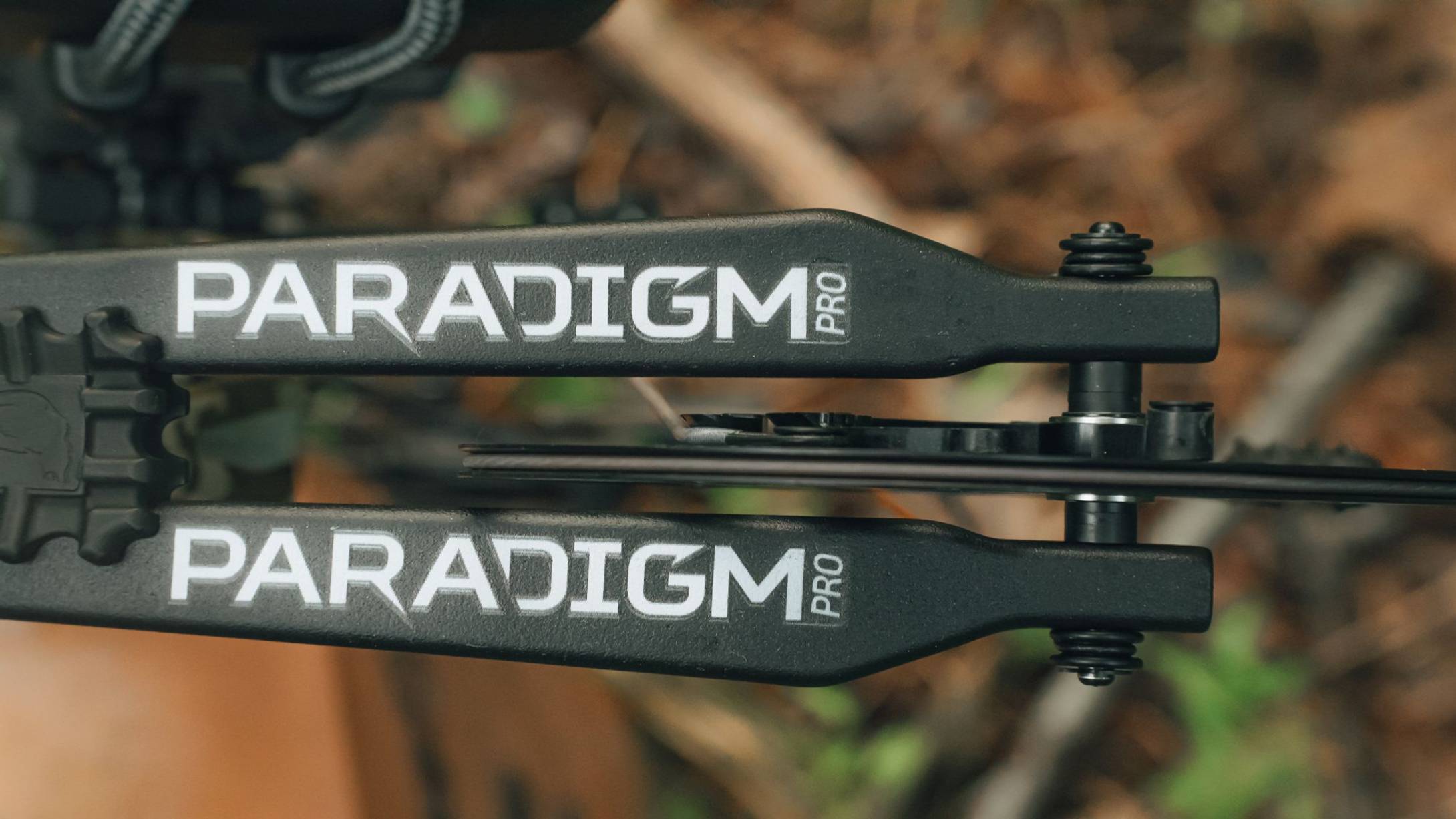 Close up of the limbs on the Paradigm Pro compound bow from Bear Archery