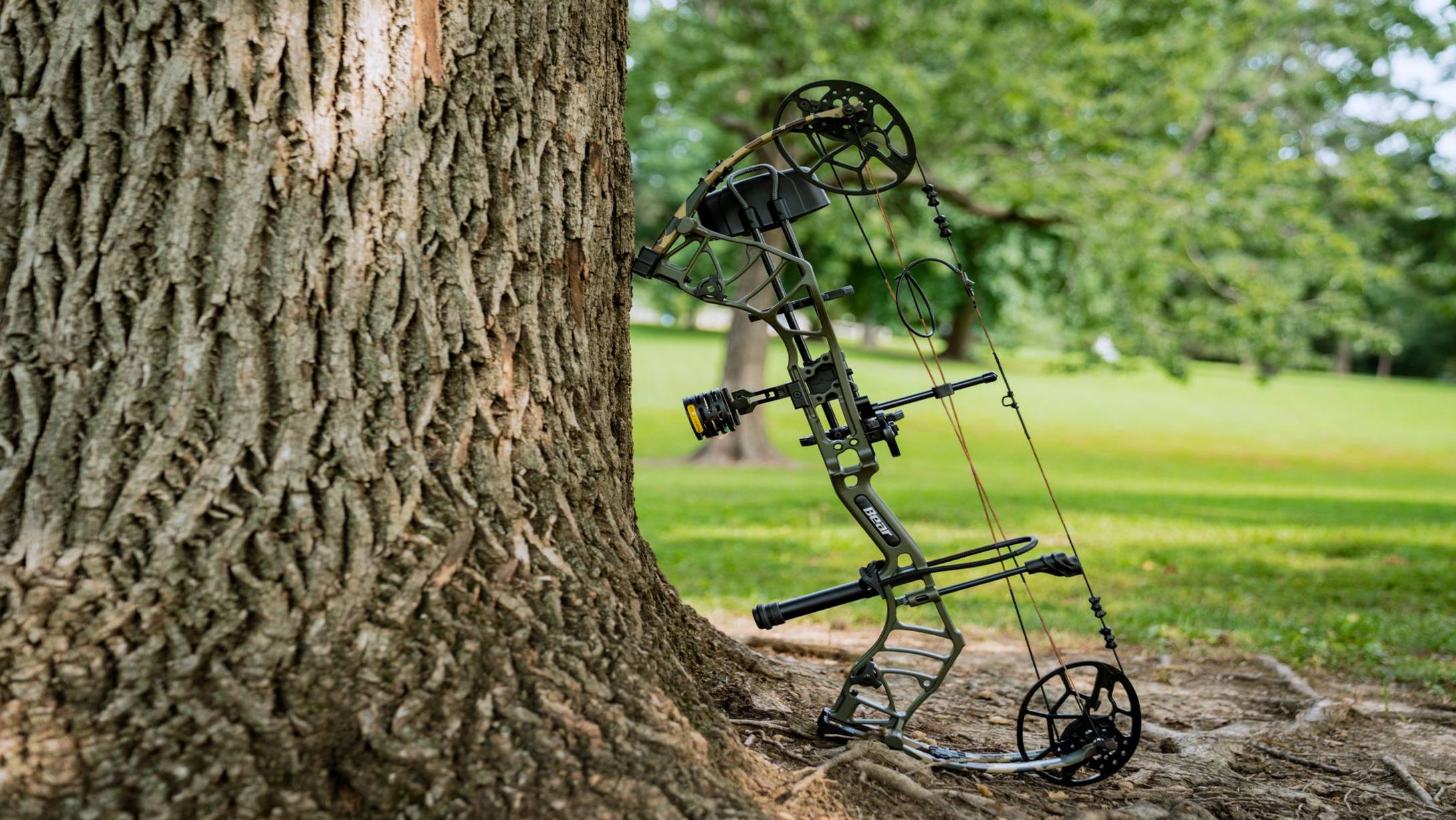 Legit NXT compound bow from Bear Archery sitting up against a tree