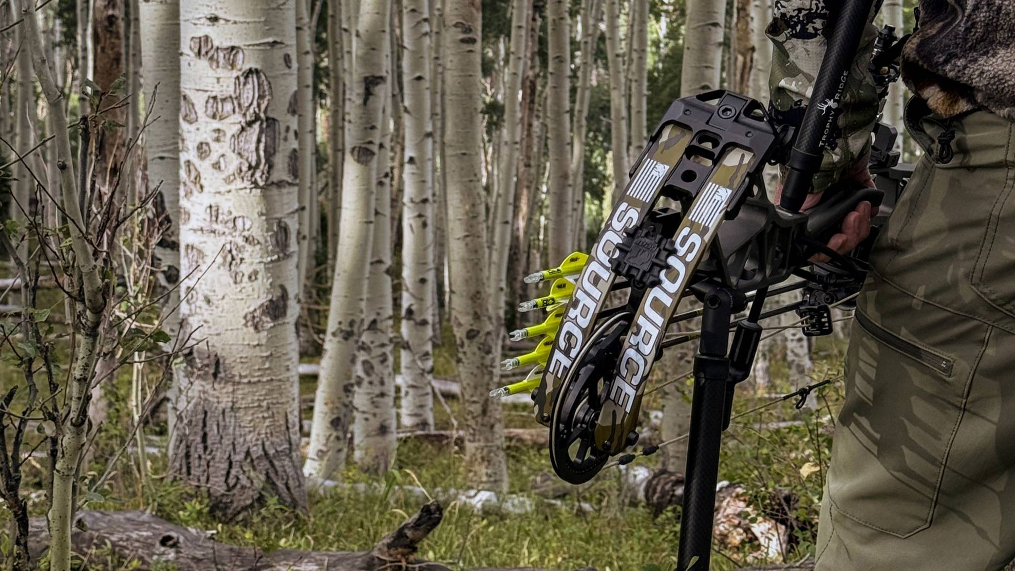 Close up of the Source compound bow limbs from Bear Archery