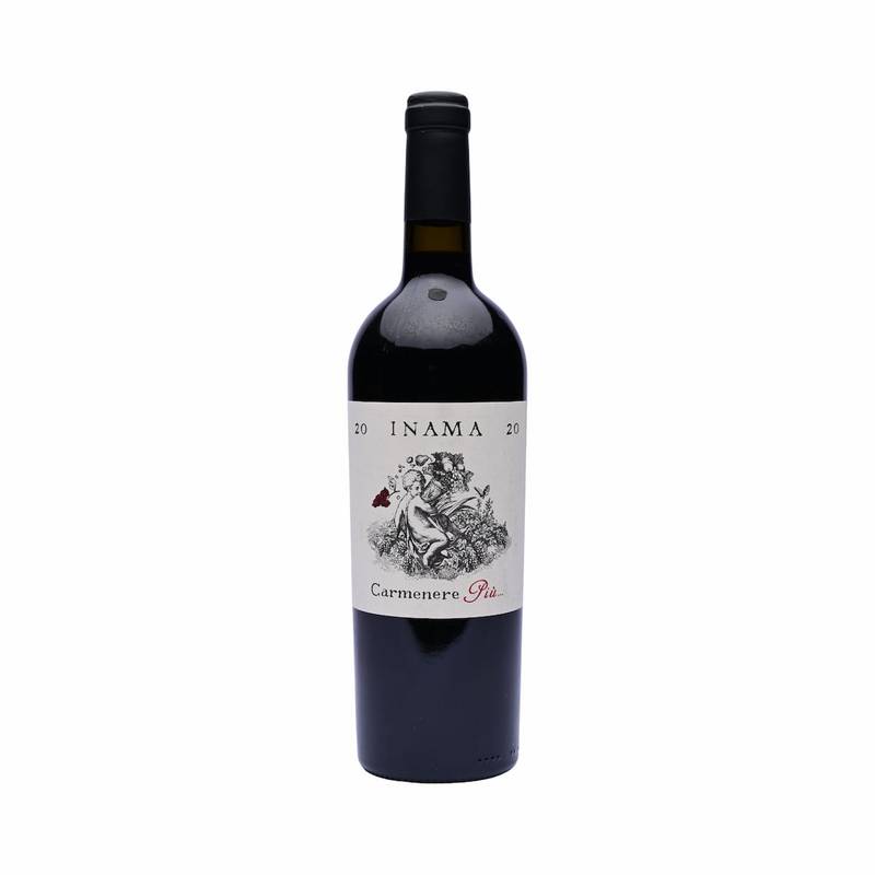 Carmenere Piu, Veneto, 2020