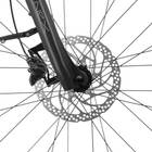 Raleigh Motus 2026 (Derailleur) Shimano MT200 Disc Brakes