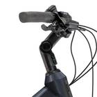 Raleigh Motus 2026 (Hub) Bosch Purion 200 Display