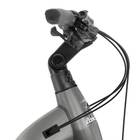 Raleigh Novus 2026 Low (Hub) Bosch Purion 200 Display