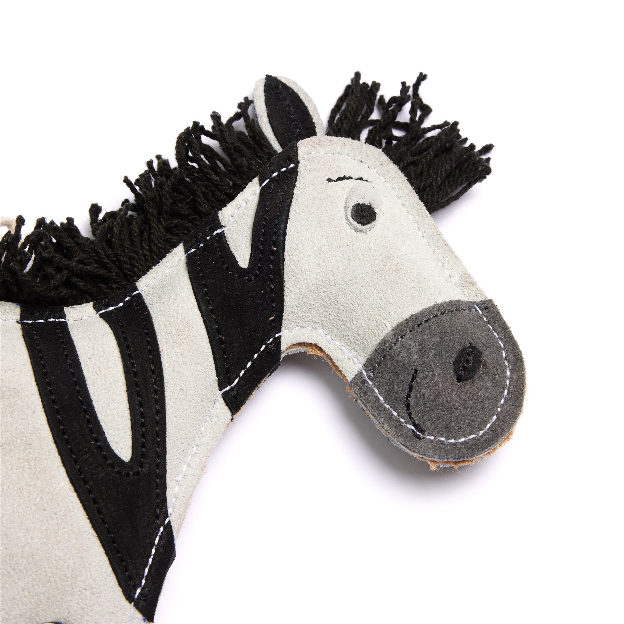 Zambezi-the-Zebra-Close-Up-