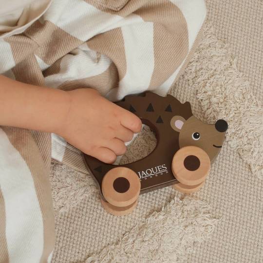 Prickles the Hedgehog - Push Along Toy