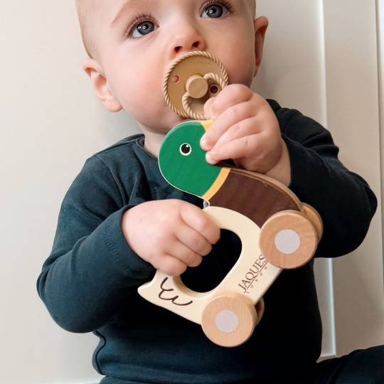Dash The Duck Push Along Toy
