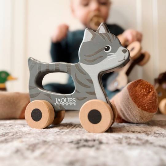 Push & Play Pet Set