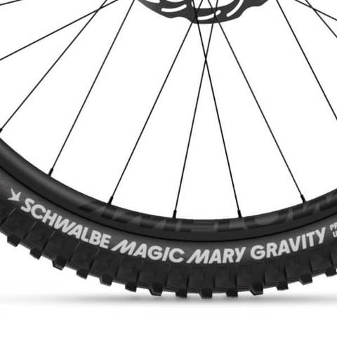 Amflow PX Carbon PRO Schwalbe Magic Mary Gravity Pro Tyres
