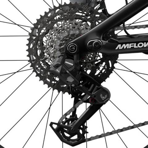 Amflow PX Carbon Sram S1000 Eagle AXS Gears
