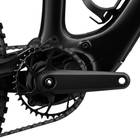 Amflow PX Carbon Avinox M2S Motor