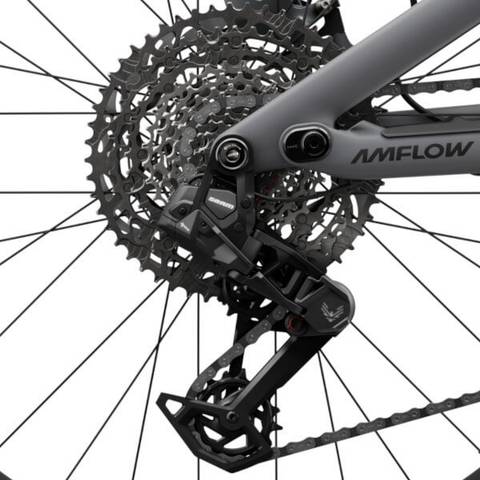 Amflow PR Carbon Pro Sram S1000 Eagle AXS Gears