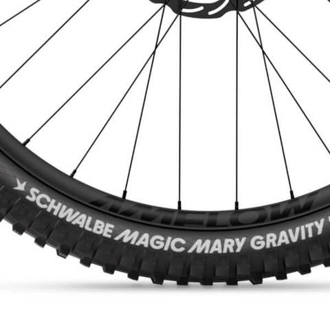Amflow PR Carbon Pro Schwalbe Magic Mary Gravity Pro Tyres