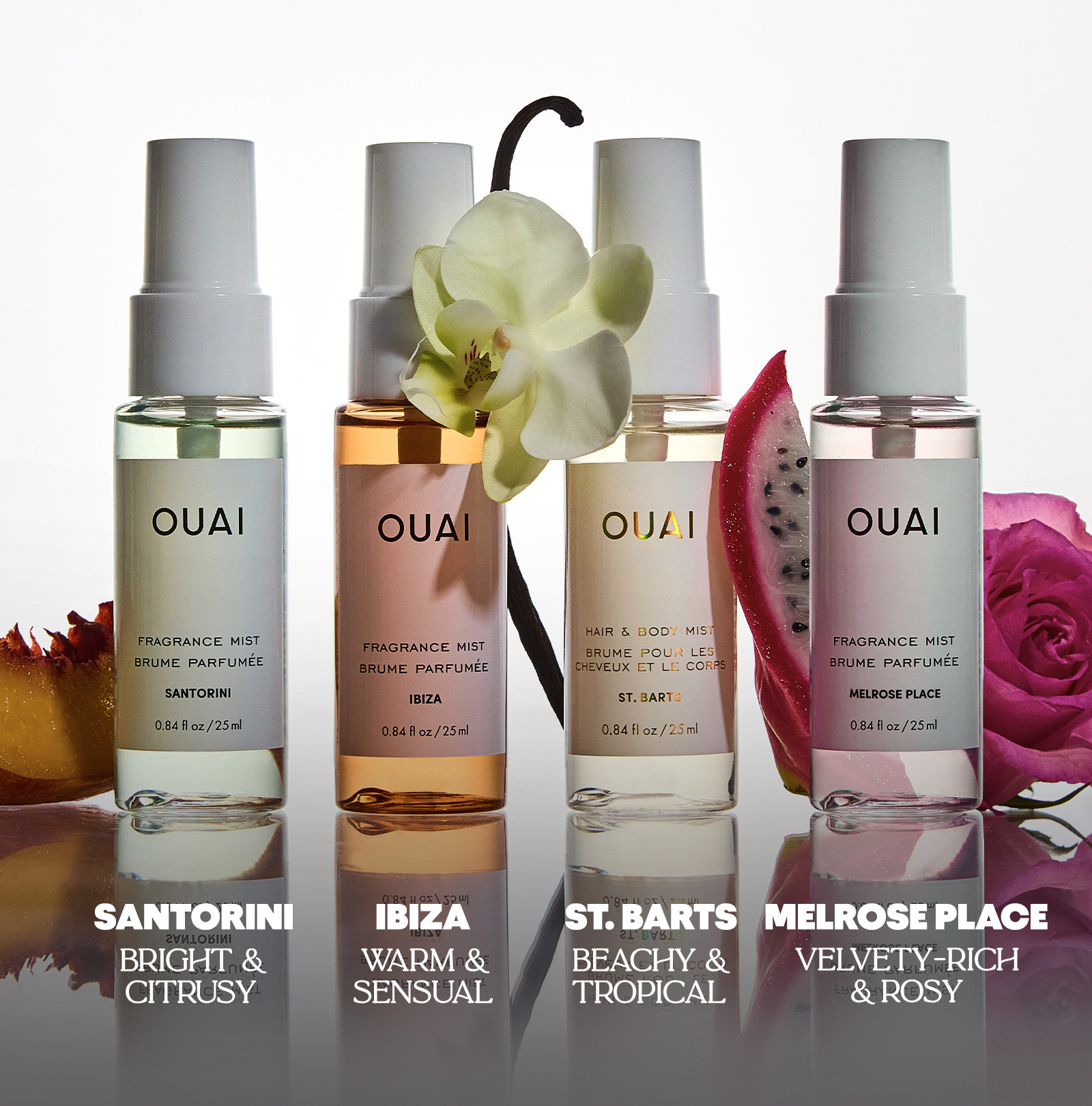INSTANT OUAI-CATION KIT