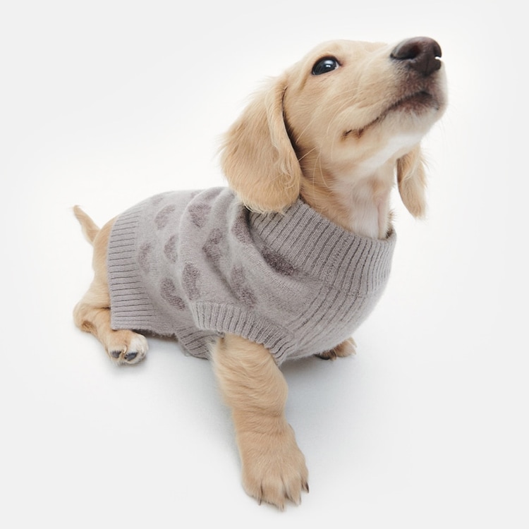 Cashmere sweater hotsell for dogs