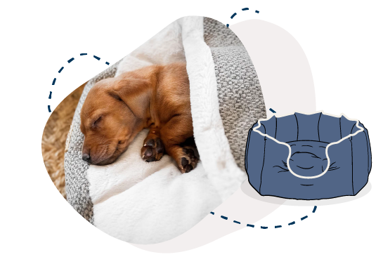 https://cld.accentuate.io/166828998769/1684425619481/donut-dog-beds-01.png?v=1684425619482&options=