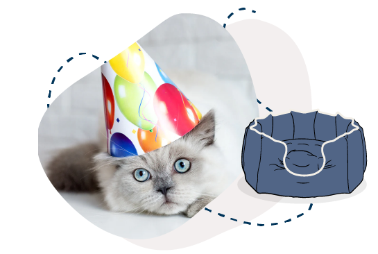 Gifts For Cats Cat Presents Lords Labradors