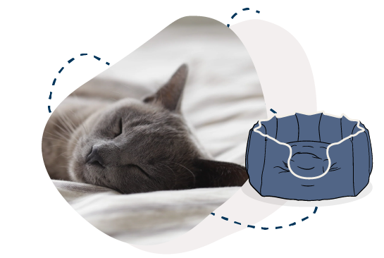 Hooded cat beds uk best sale