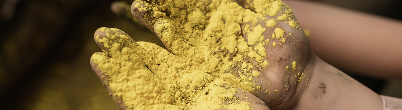 Close up of a girl's hands holding yellow holi powder 