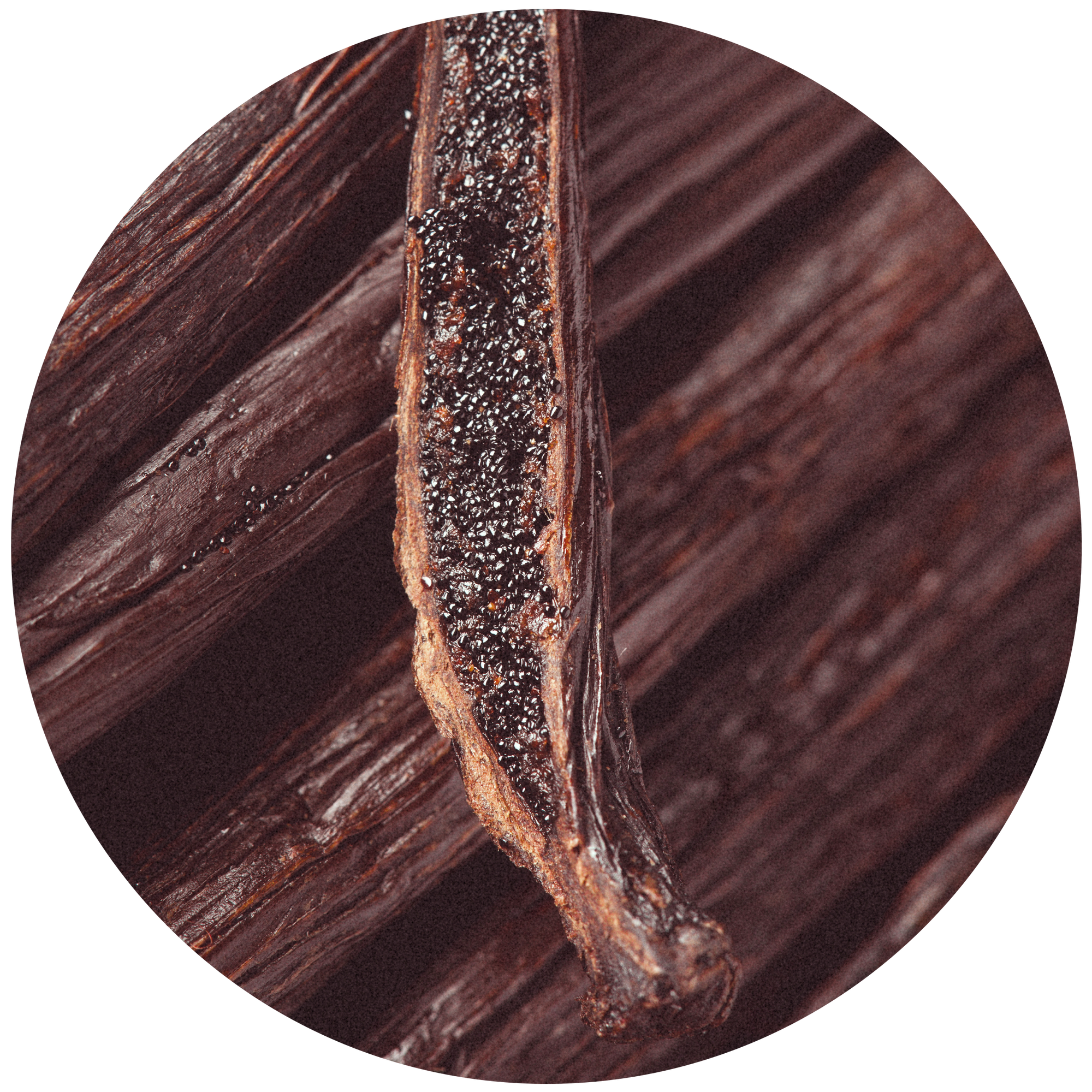 Buy Grand Celebration Candle by Ecoya online ECOYA NZ