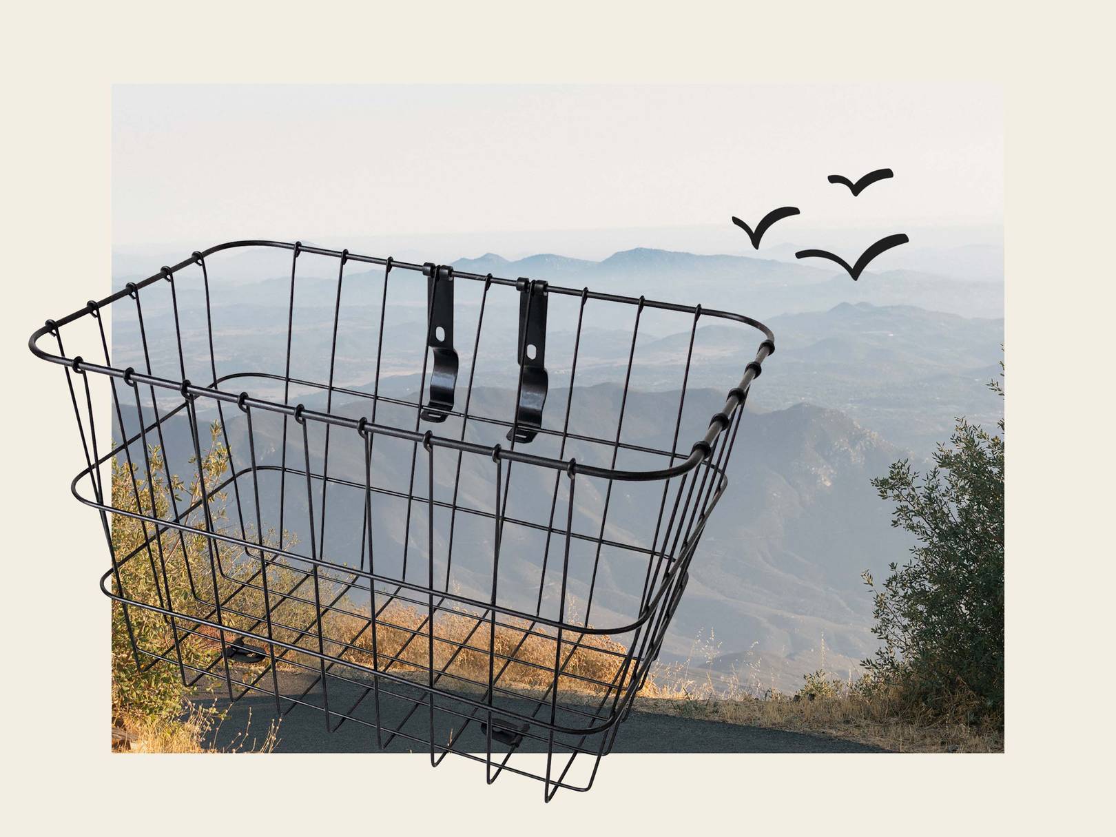 ApolloX MultiFit Front Metal Bike Basket Retrospec