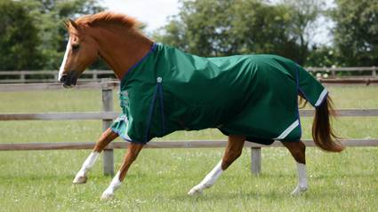 Buster Zero Original Turnout - Category Banner - Lightweight Turnout Rug