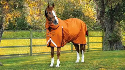Desktop - Category Banner - Medium Weight Turnout Rugs