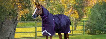 Buster Storm 420g Combo Turnout Rug - Category Banner - Heavyweight Turnout Rugs