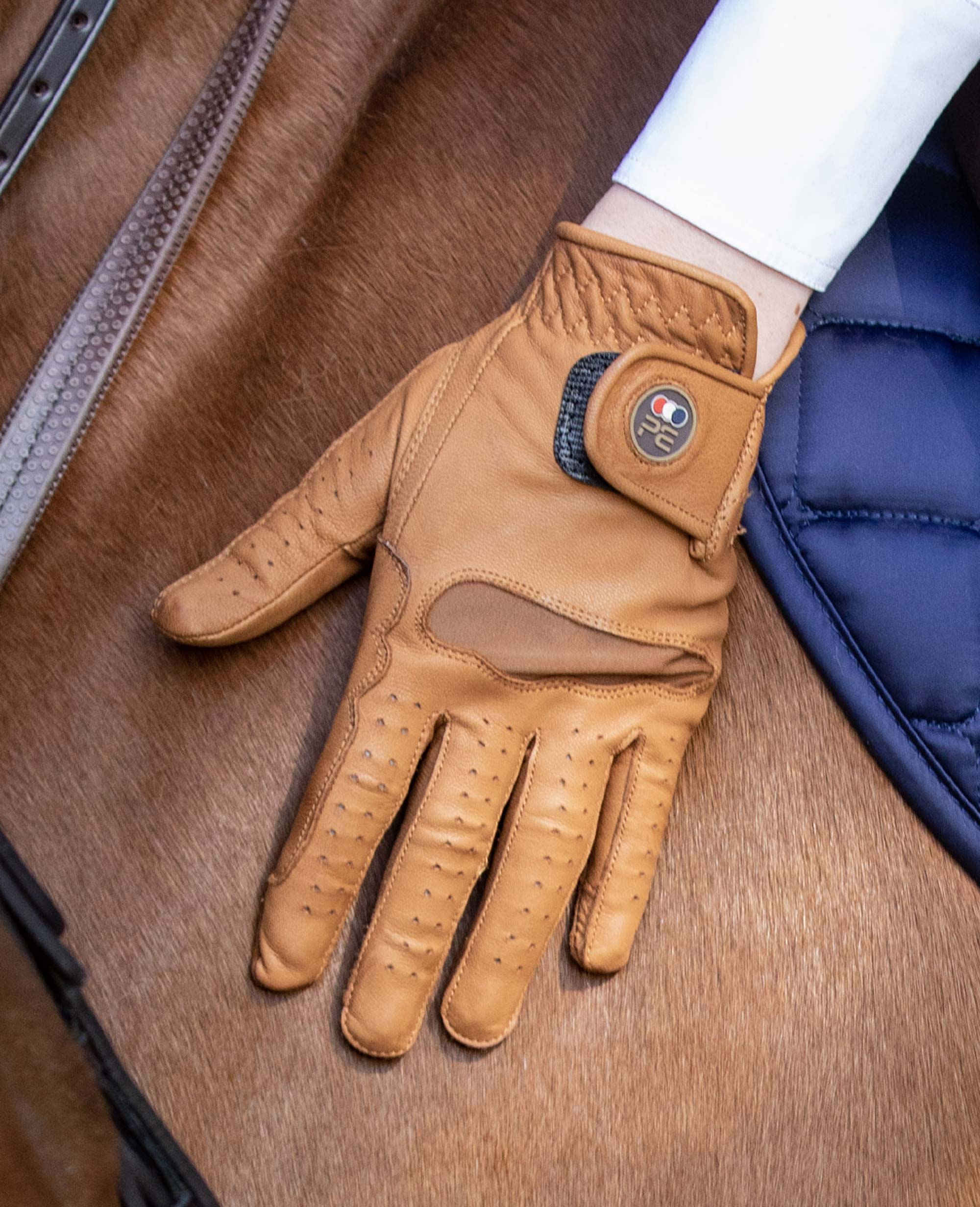 Equestrian gloves cheap