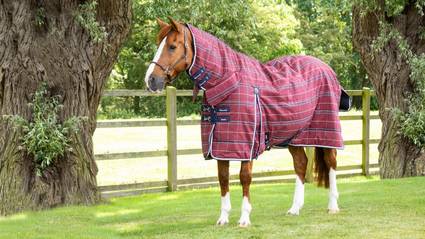 Desktop - Header Banner - Medium Weight Stable Rugs