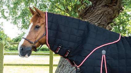 Desktop - Header Banner - Stable Rug Neck Covers