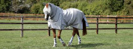 fly rug