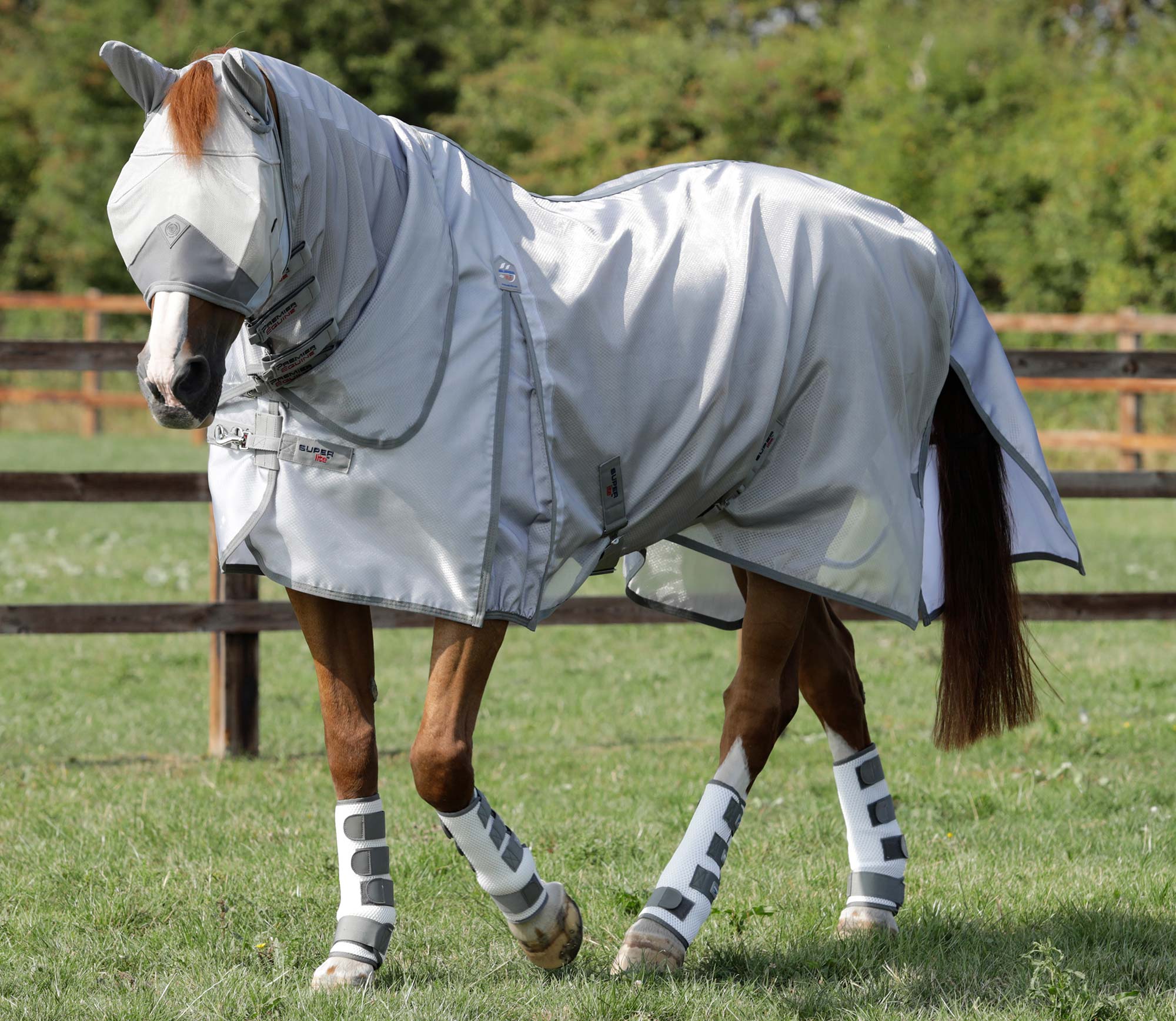 Fly Rugs Premier Equine International Premier Equine Int. Ltd