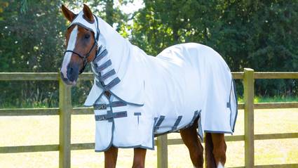 Desktop - Sweet Itch - Category Banner