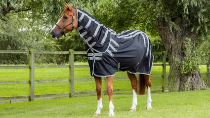 Category Banner - Magnet Rug - Desktop