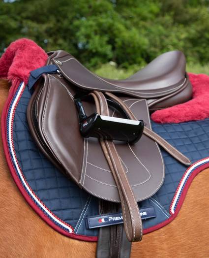 Merino Wool Saddle Pads - Premier Equine International – Premier Equine ...