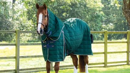 Desktop - Header Banner - Stable Rugs