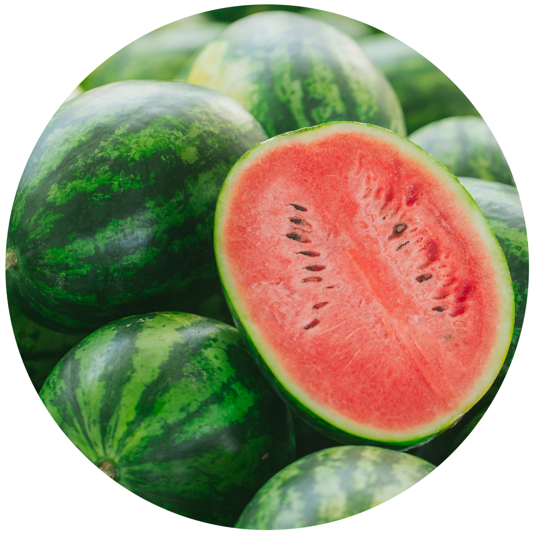 Buy Sweet Pea & Jasmine Madison Candle by Ecoya online ECOYA Australia