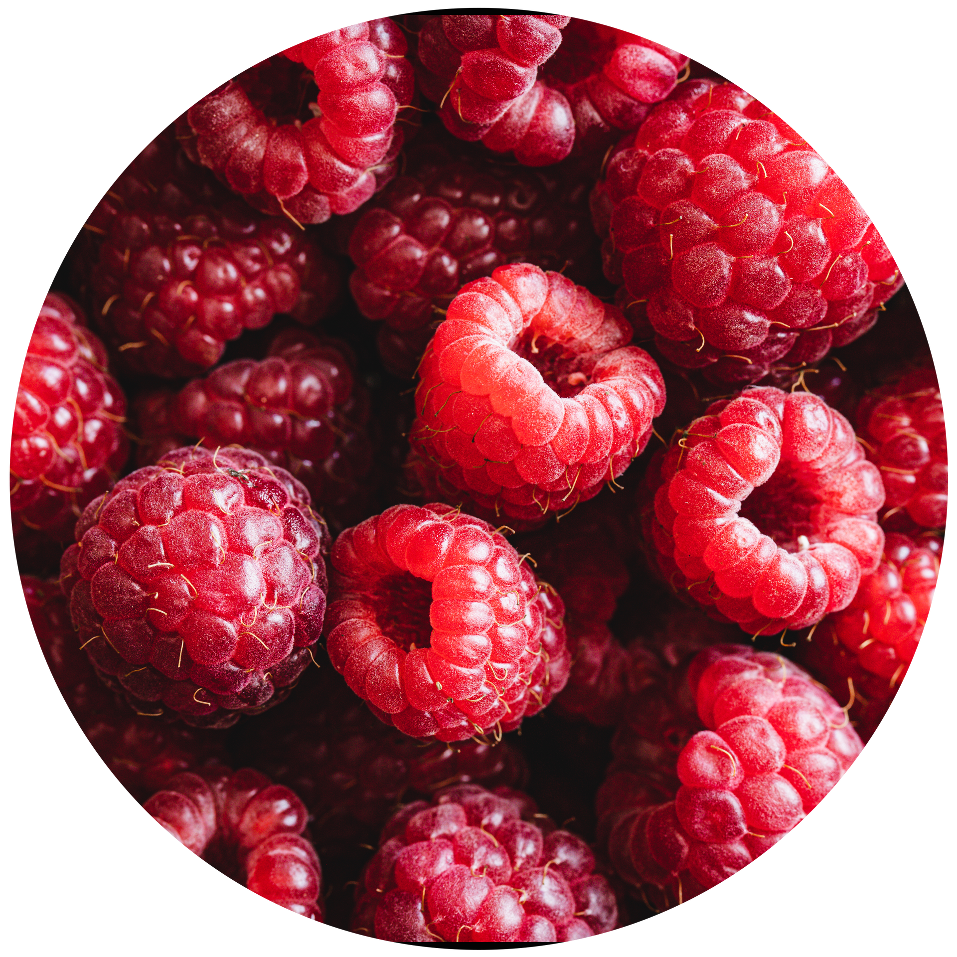 Red Berries