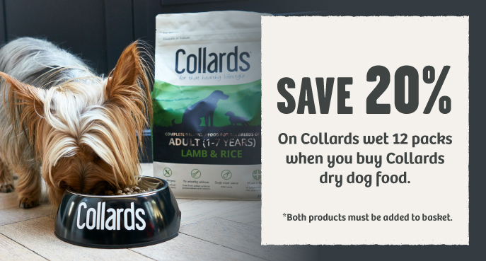 closest place to buy dog food