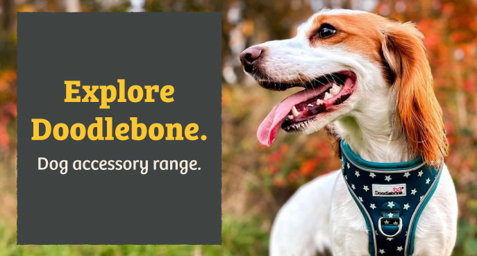 Doodlebone best sale puppy harness