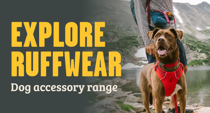 range dog coats