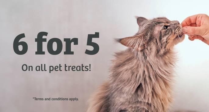 dreamies cat treat dispenser