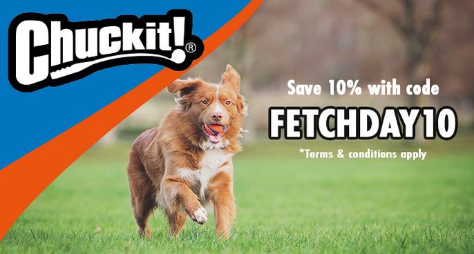 Chuckit! Dog Toys