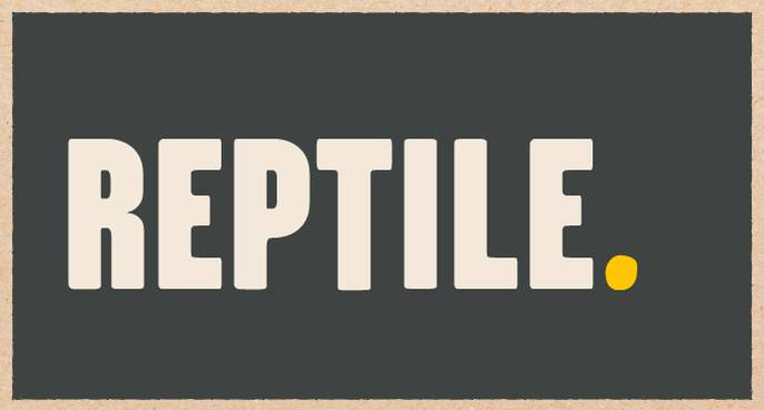 Pet Reptile Products & Supplies