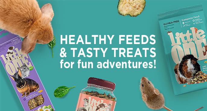 Rabbit, Guinea Pig & Small Pet Supplies | Shop All | Pets & Friends Rabbit, Guinea Pig & Small Pet Supplies | Shop All | Pets & Friends
