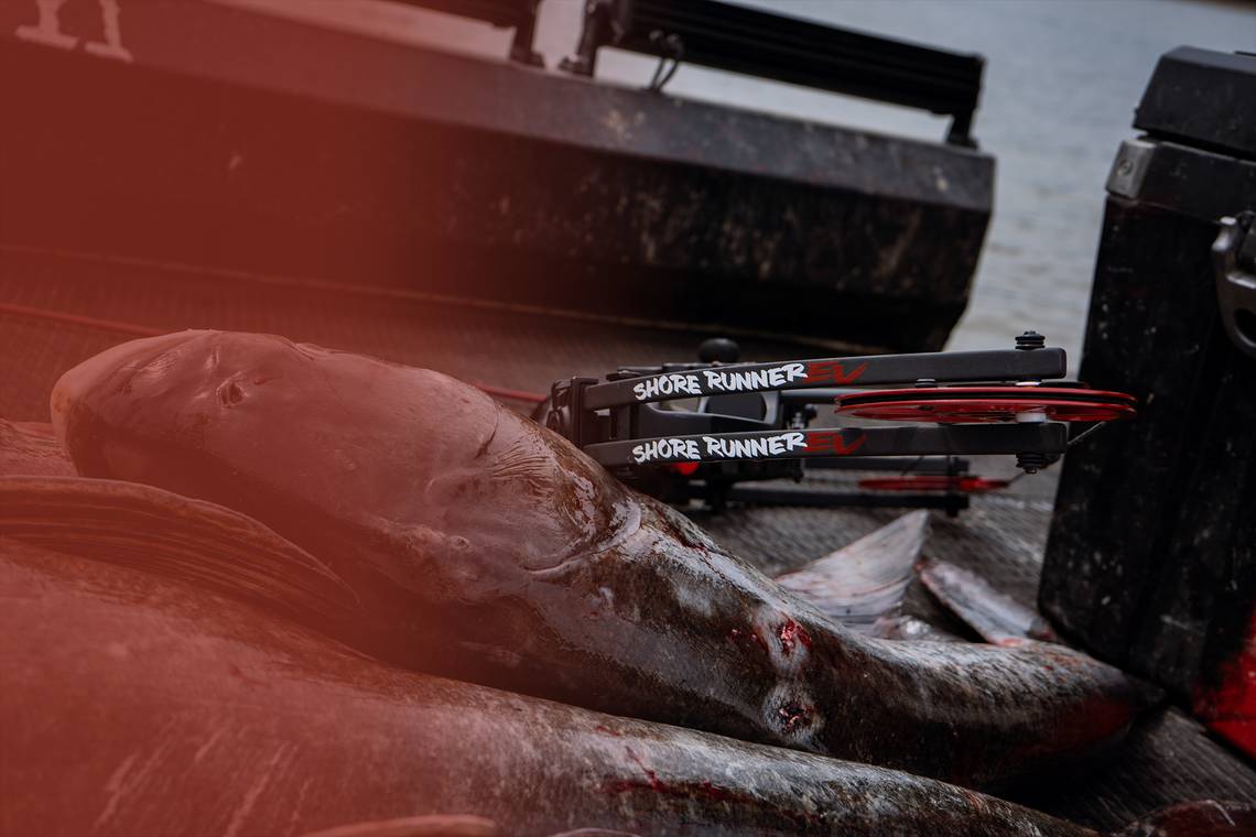 How To Bow Fish From Shore