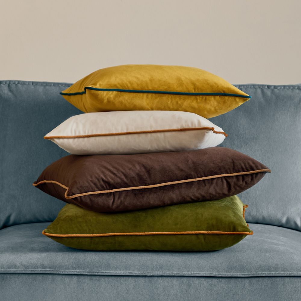 Velvet Cushions