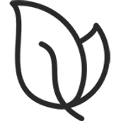 Modal icon