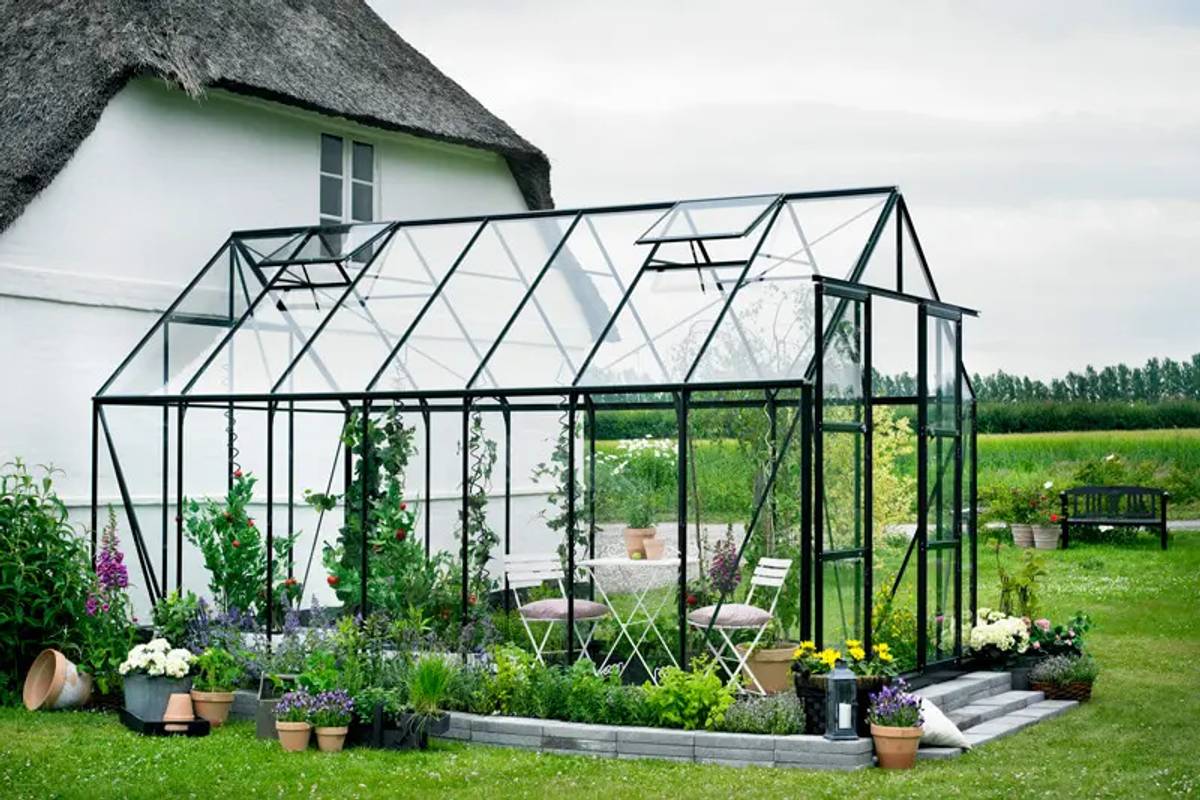 Magnum Greenhouse next to stunning thatched house