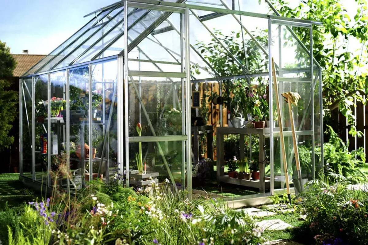 Magnum Greenhouse with Horticultural glass